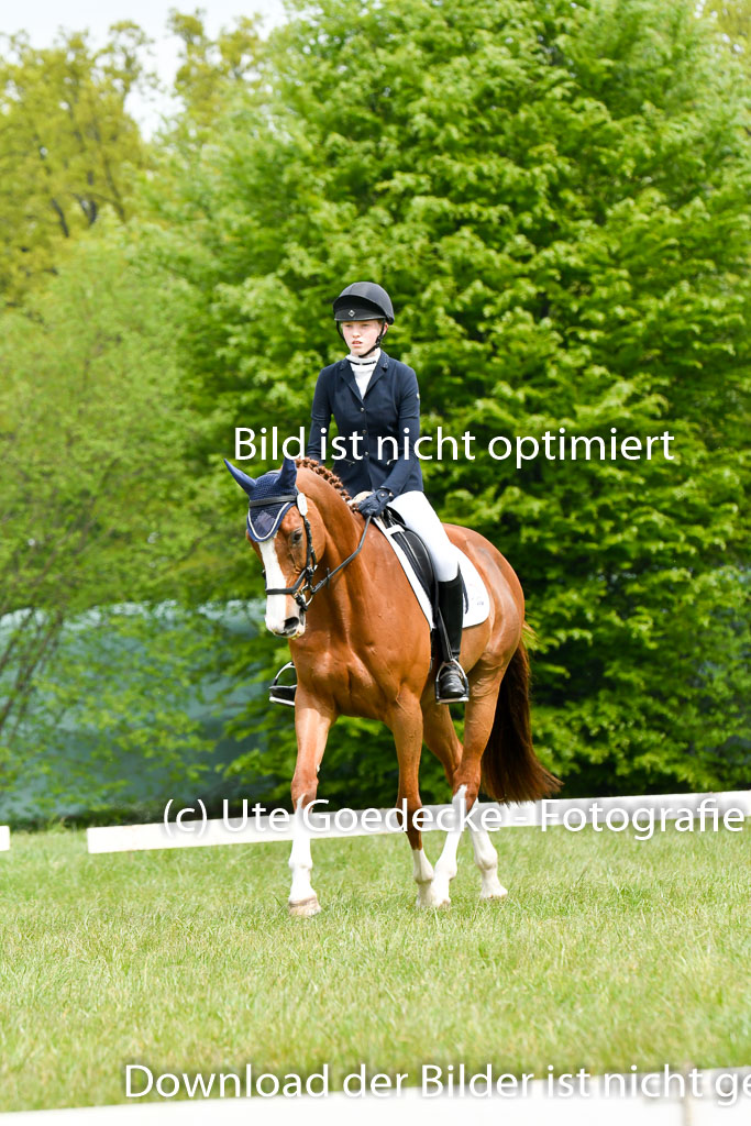 NG Eventing Elmenhorst   7.5.22 | 07052022 Elmenhorst VE _003 