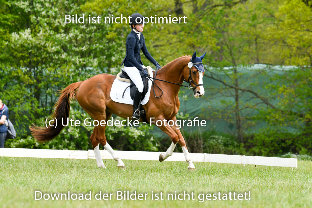NG Eventing Elmenhorst   7.5.22 | 07052022 Elmenhorst VE _004 