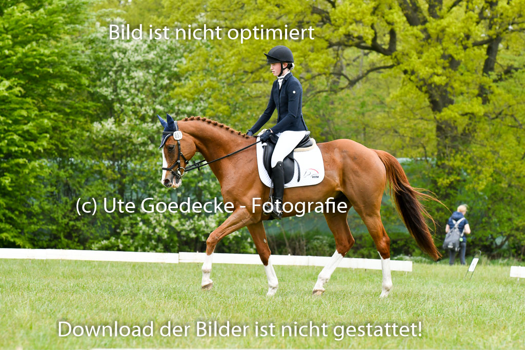 NG Eventing Elmenhorst   7.5.22 | 07052022 Elmenhorst VE _005 