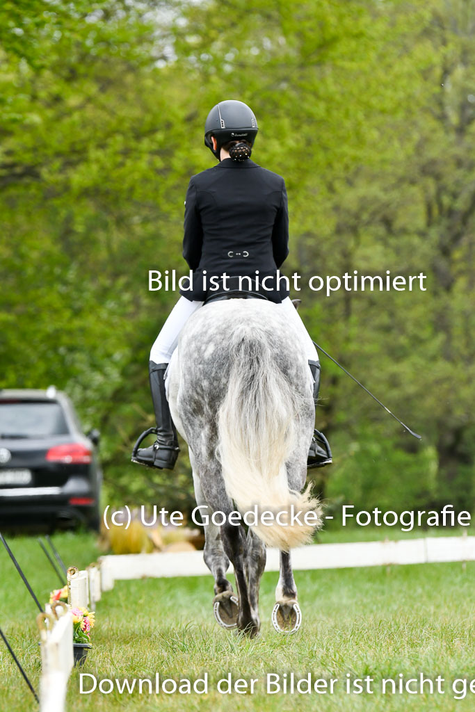 NG Eventing Elmenhorst   7.5.22 | 07052022 Elmenhorst VE _009 