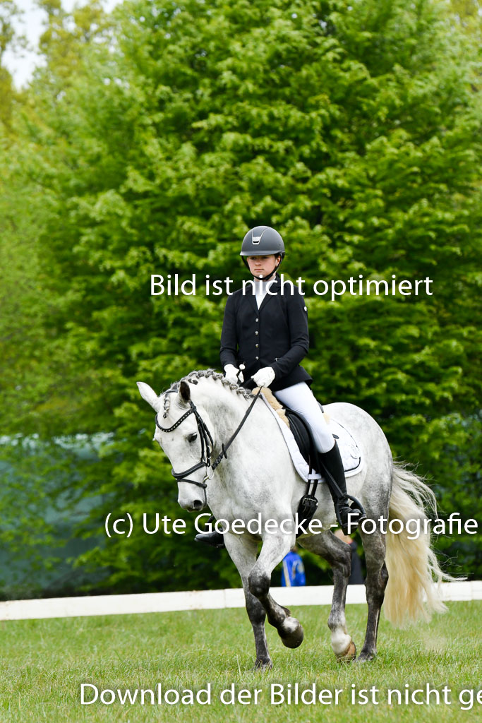 NG Eventing Elmenhorst   7.5.22 | 07052022 Elmenhorst VE _011 
