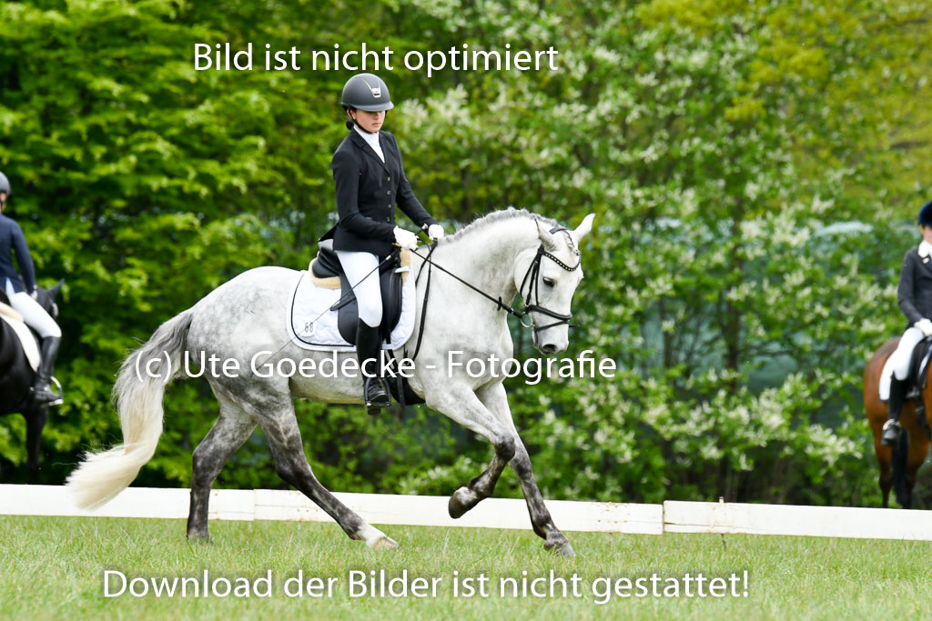 NG Eventing Elmenhorst   7.5.22 | 07052022 Elmenhorst VE _013 