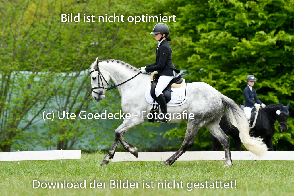NG Eventing Elmenhorst   7.5.22 | 07052022 Elmenhorst VE _015 