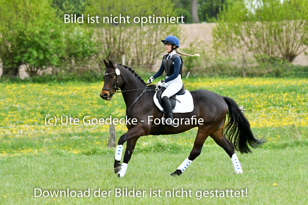 NG Eventing Elmenhorst   7.5.22 | 07052022 Elmenhorst VE _028 