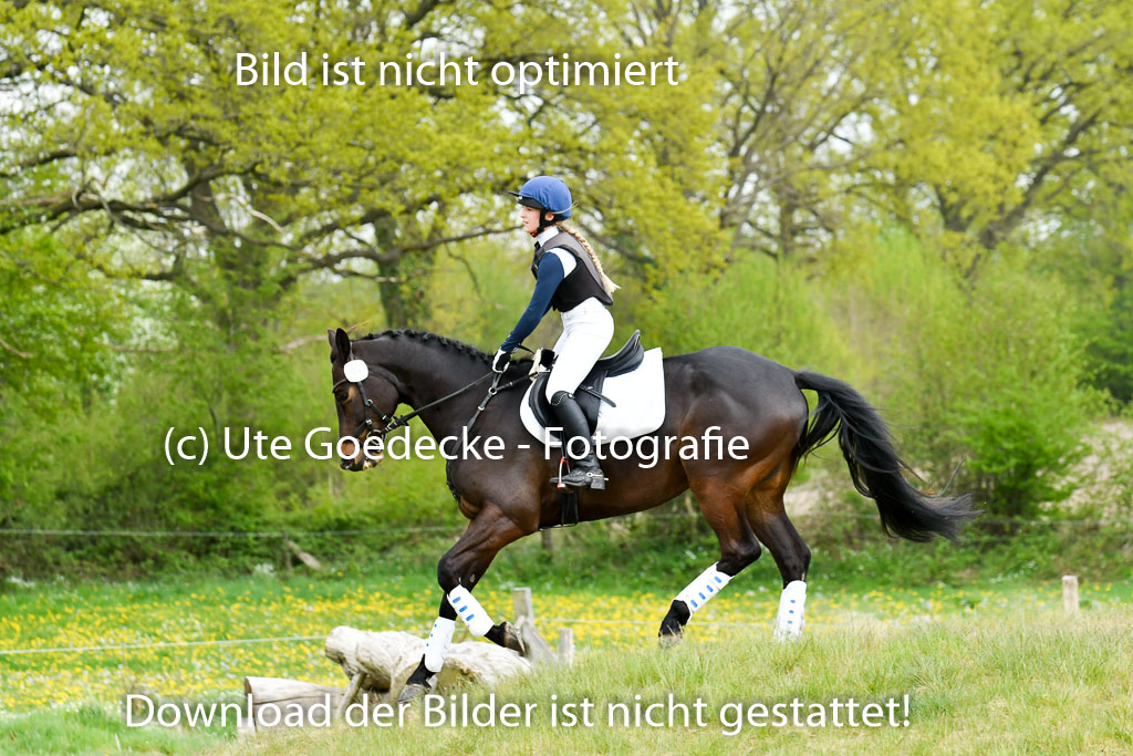 NG Eventing Elmenhorst   7.5.22 | 07052022 Elmenhorst VE _031 
