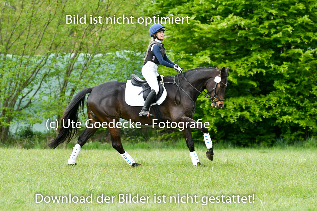 NG Eventing Elmenhorst   7.5.22 | 07052022 Elmenhorst VE _033 