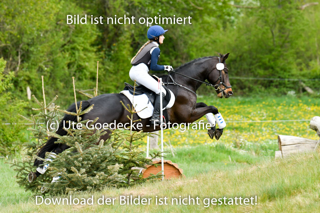 NG Eventing Elmenhorst   7.5.22 | 07052022 Elmenhorst VE _035 