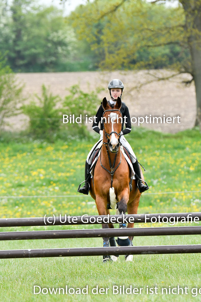 NG Eventing Elmenhorst   7.5.22 | 07052022 Elmenhorst VE _054 