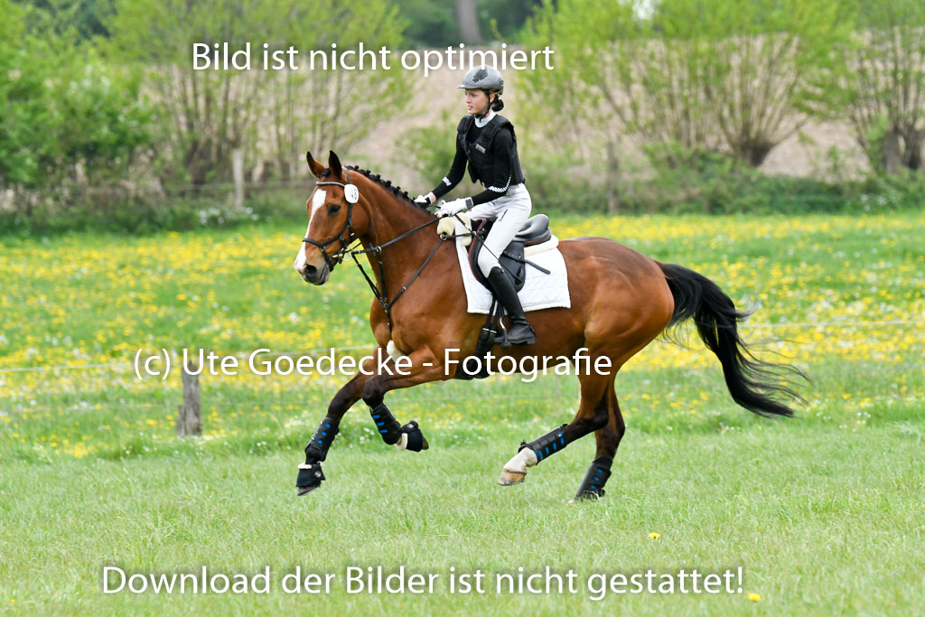 NG Eventing Elmenhorst   7.5.22 | 07052022 Elmenhorst VE _061 