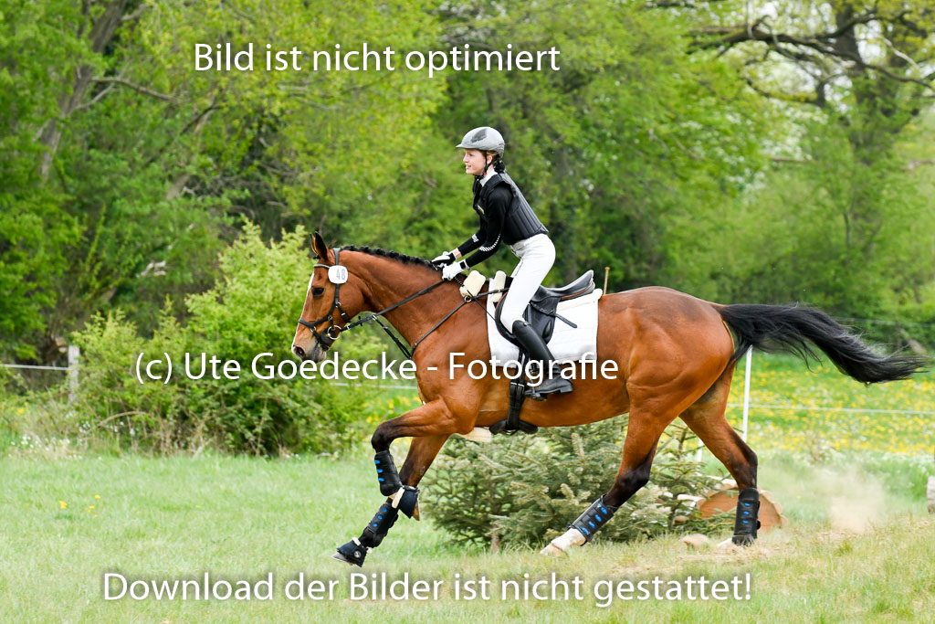 NG Eventing Elmenhorst   7.5.22 | 07052022 Elmenhorst VE _066 