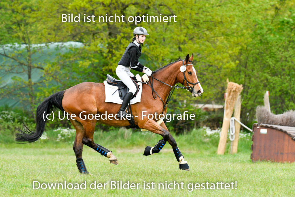 NG Eventing Elmenhorst   7.5.22 | 07052022 Elmenhorst VE _069 