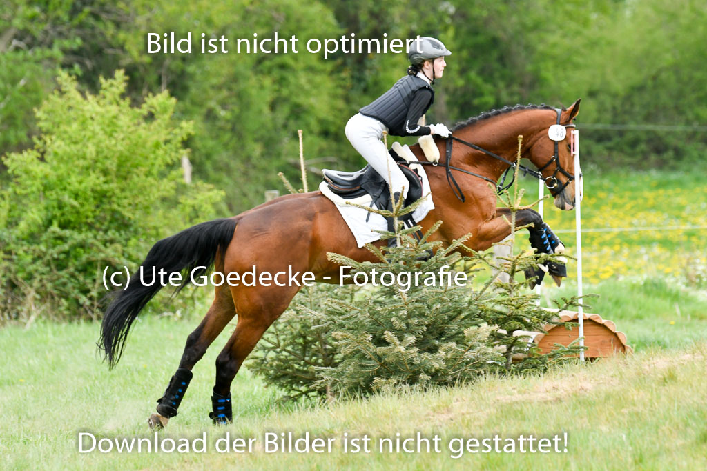 NG Eventing Elmenhorst   7.5.22 | 07052022 Elmenhorst VE _070 