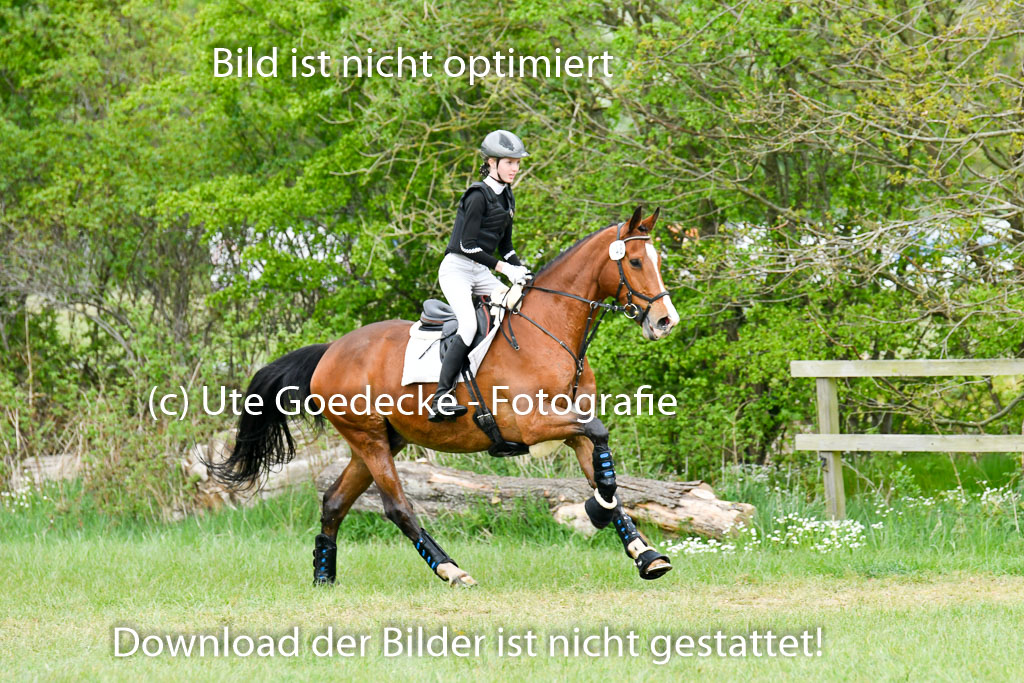 NG Eventing Elmenhorst   7.5.22 | 07052022 Elmenhorst VE _072 
