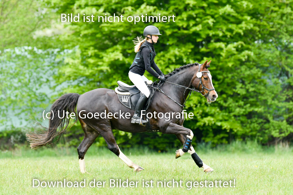 NG Eventing Elmenhorst   7.5.22 | 07052022 Elmenhorst VE _088 