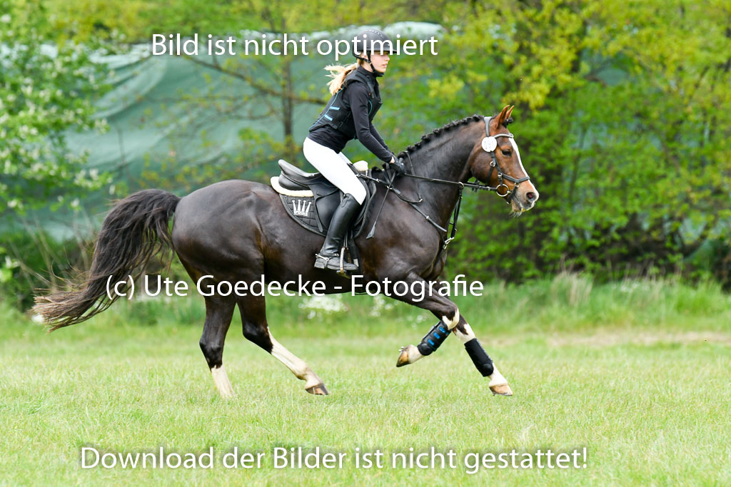 NG Eventing Elmenhorst   7.5.22 | 07052022 Elmenhorst VE _089 