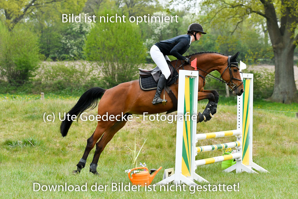 NG Eventing Elmenhorst   7.5.22 | 07052022 Elmenhorst VE _095 