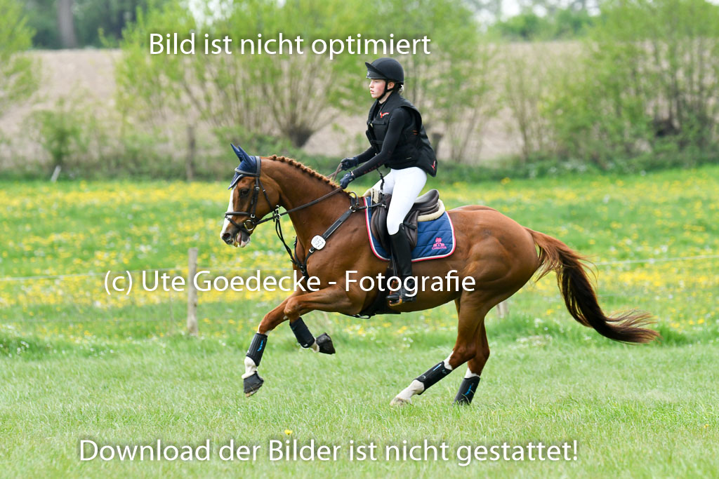 NG Eventing Elmenhorst   7.5.22 | 07052022 Elmenhorst VE _110 