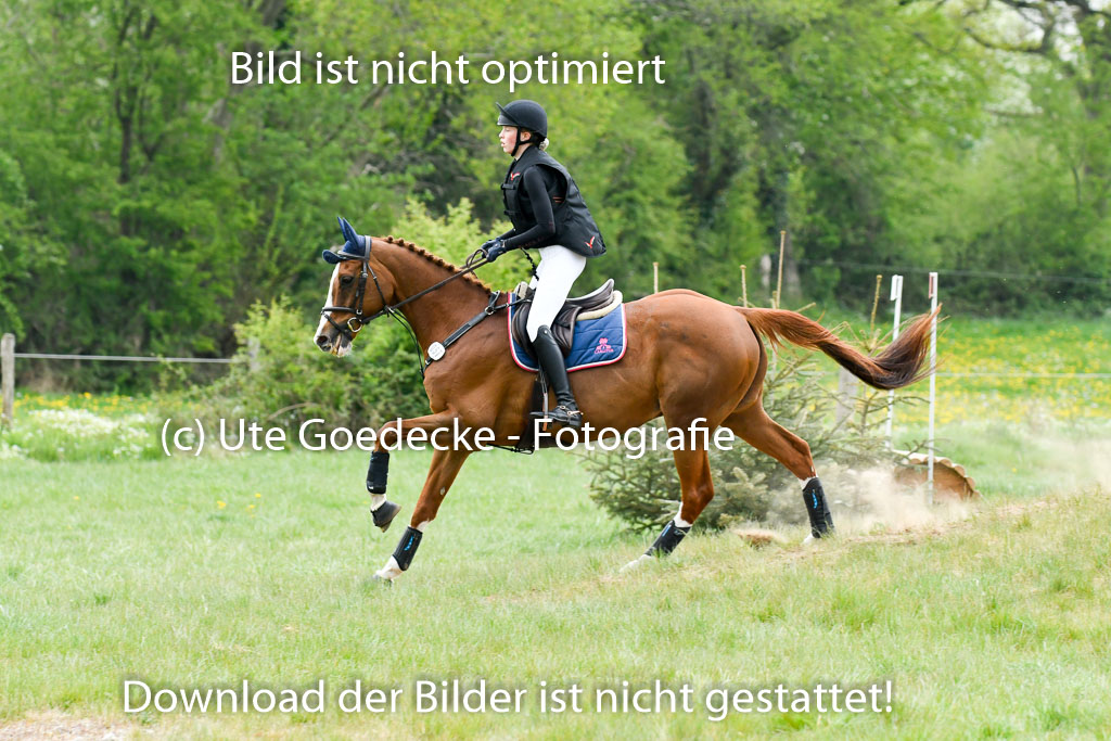 NG Eventing Elmenhorst   7.5.22 | 07052022 Elmenhorst VE _114 