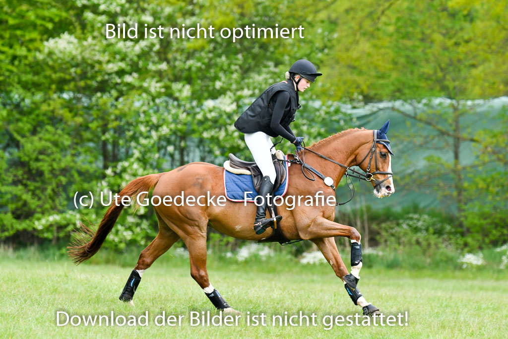 NG Eventing Elmenhorst   7.5.22 | 07052022 Elmenhorst VE _116 