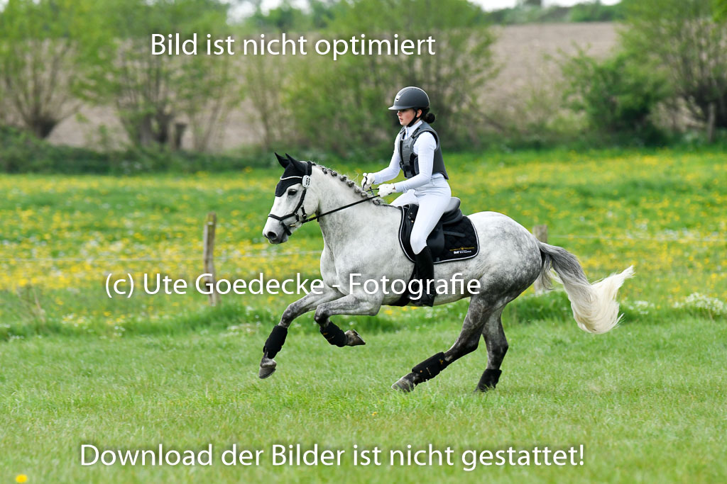 NG Eventing Elmenhorst   7.5.22 | 07052022 Elmenhorst VE _131 