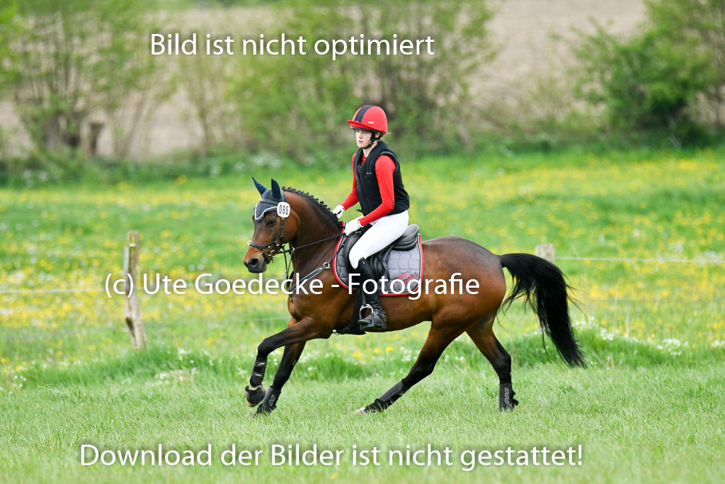NG Eventing Elmenhorst   7.5.22 | 07052022 Elmenhorst VE _144 