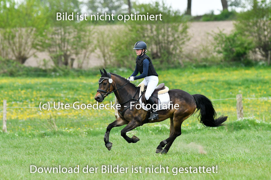 NG Eventing Elmenhorst   7.5.22 | 07052022 Elmenhorst VE _184 