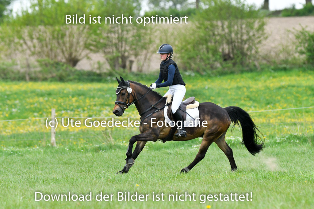 NG Eventing Elmenhorst   7.5.22 | 07052022 Elmenhorst VE _185 