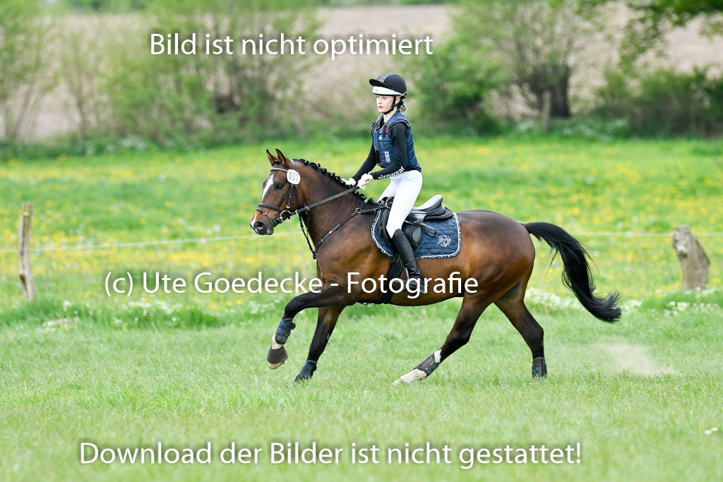 NG Eventing Elmenhorst   7.5.22 | 07052022 Elmenhorst VE _197 