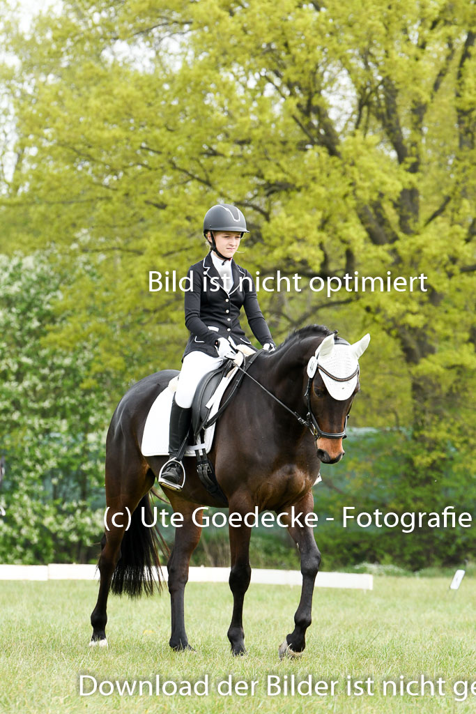 NG Eventing Elmenhorst  7.5.22 | 07052022 Elmenhorst VE _214 