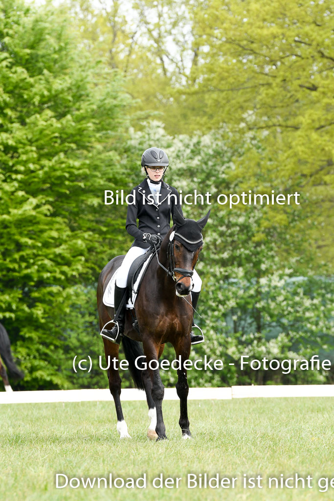 NG Eventing Elmenhorst  7.5.22 | 07052022 Elmenhorst VE _220 