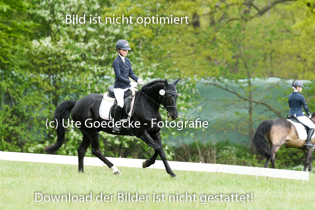 NG Eventing Elmenhorst  7.5.22 | 07052022 Elmenhorst VE _245 