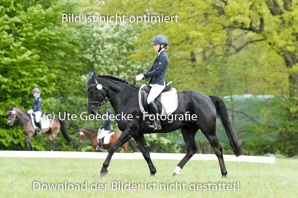 NG Eventing Elmenhorst  7.5.22 | 07052022 Elmenhorst VE _248 