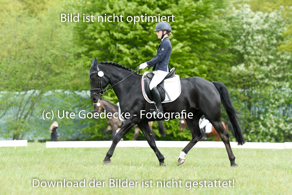 NG Eventing Elmenhorst  7.5.22 | 07052022 Elmenhorst VE _249 