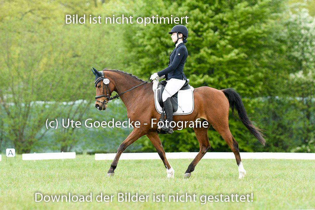 NG Eventing Elmenhorst  7.5.22 | 07052022 Elmenhorst VE _263 