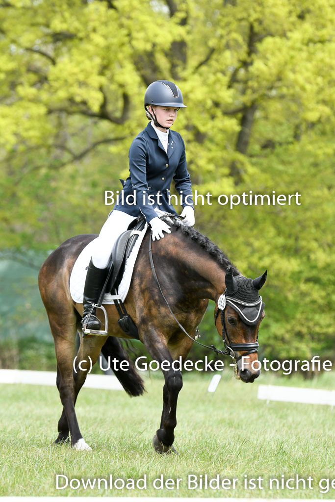 NG Eventing Elmenhorst  7.5.22 | 07052022 Elmenhorst VE _278 