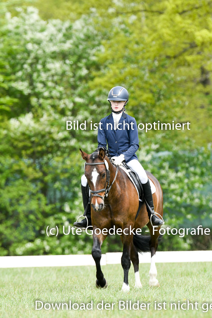 NG Eventing Elmenhorst  7.5.22 | 07052022 Elmenhorst VE _279 