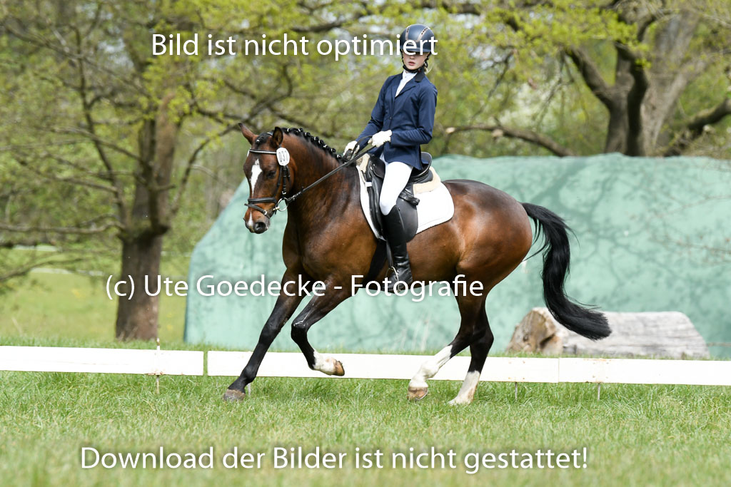 NG Eventing Elmenhorst  7.5.22 | 07052022 Elmenhorst VE _282 