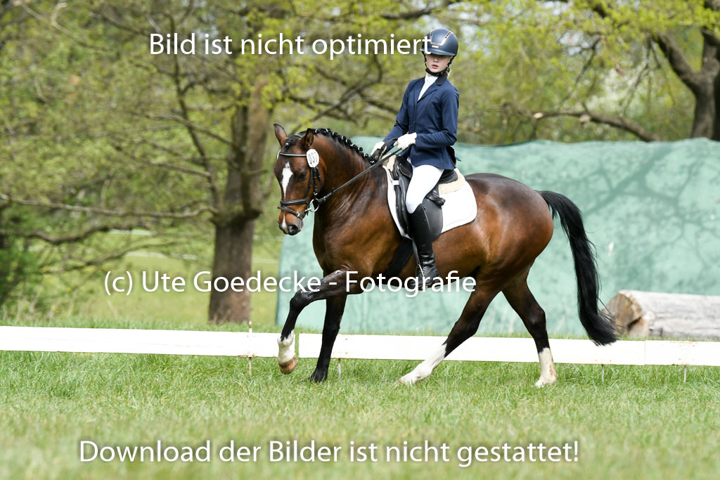 NG Eventing Elmenhorst  7.5.22 | 07052022 Elmenhorst VE _283 