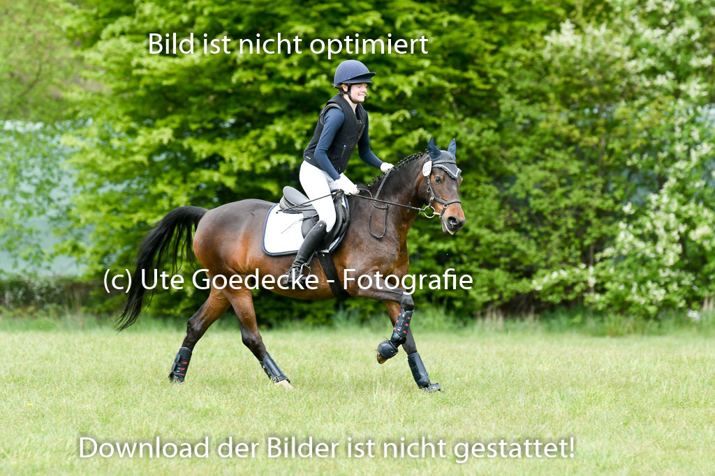 NG Eventing Elmenhorst  7.5.22 | 07052022 Elmenhorst VE _291 