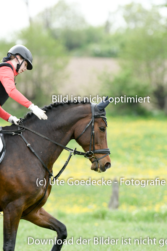 NG Eventing Elmenhorst  7.5.22 | 07052022 Elmenhorst VE _329 