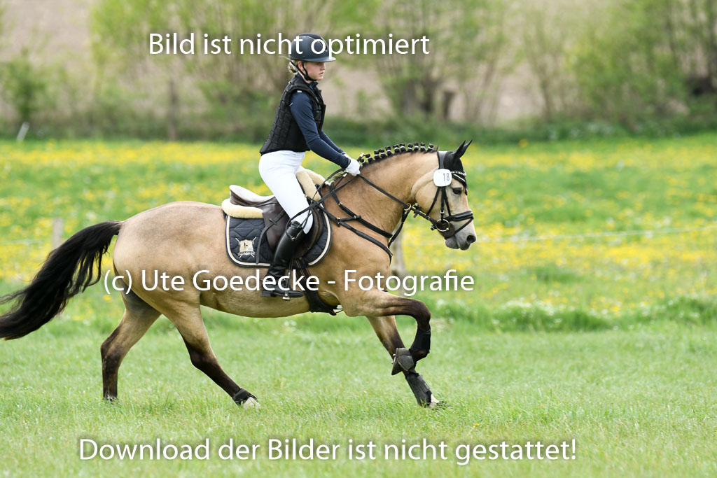 NG Eventing Elmenhorst  7.5.22 | 07052022 Elmenhorst VE _331 