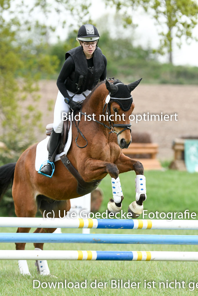 NG Eventing Elmenhorst  7.5.22 | 07052022 Elmenhorst VE _360 