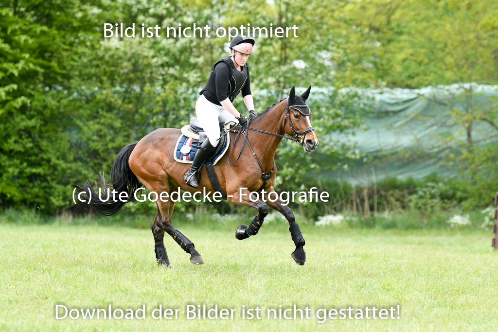 NG Eventing Elmenhorst  7.5.22 | 07052022 Elmenhorst VE _375 