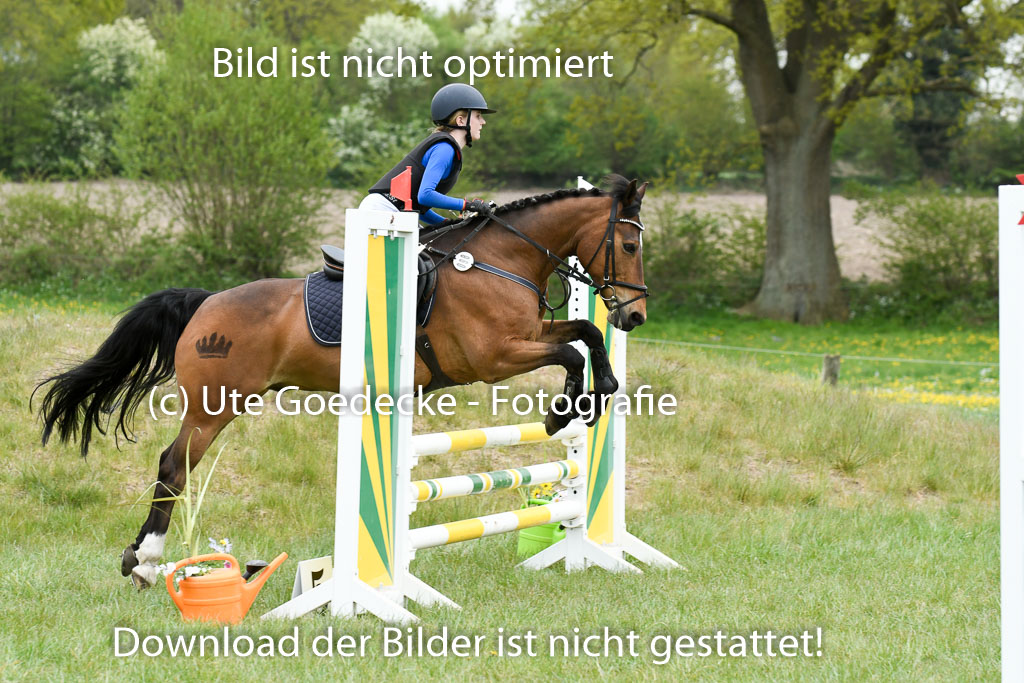 NG Eventing Elmenhorst  7.5.22 | 07052022 Elmenhorst VE _403 