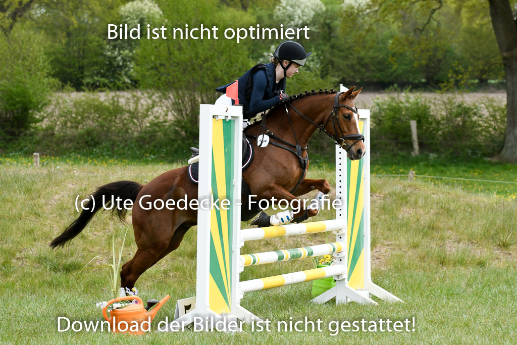 NG Eventing Elmenhorst  7.5.22 | 07052022 Elmenhorst VE _451 