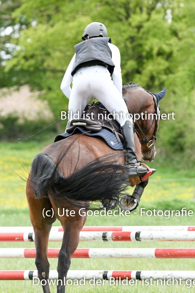 NG Eventing Elmenhorst  7.5.22 | 07052022 Elmenhorst VE _497 