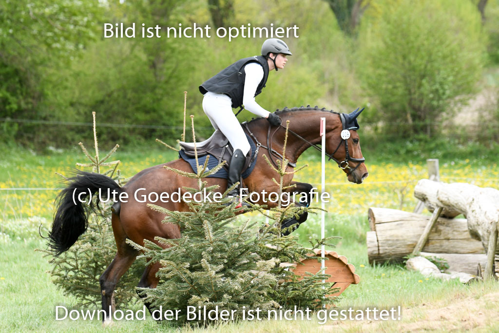 NG Eventing Elmenhorst  7.5.22 | 07052022 Elmenhorst VE _502 