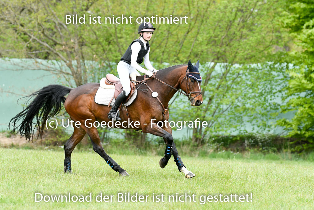 NG Eventing Elmenhorst  7.5.22 | 07052022 Elmenhorst VE _519 