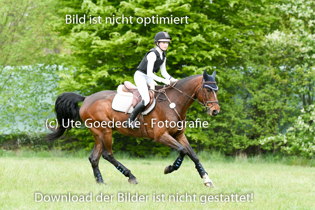 NG Eventing Elmenhorst  7.5.22 | 07052022 Elmenhorst VE _520 
