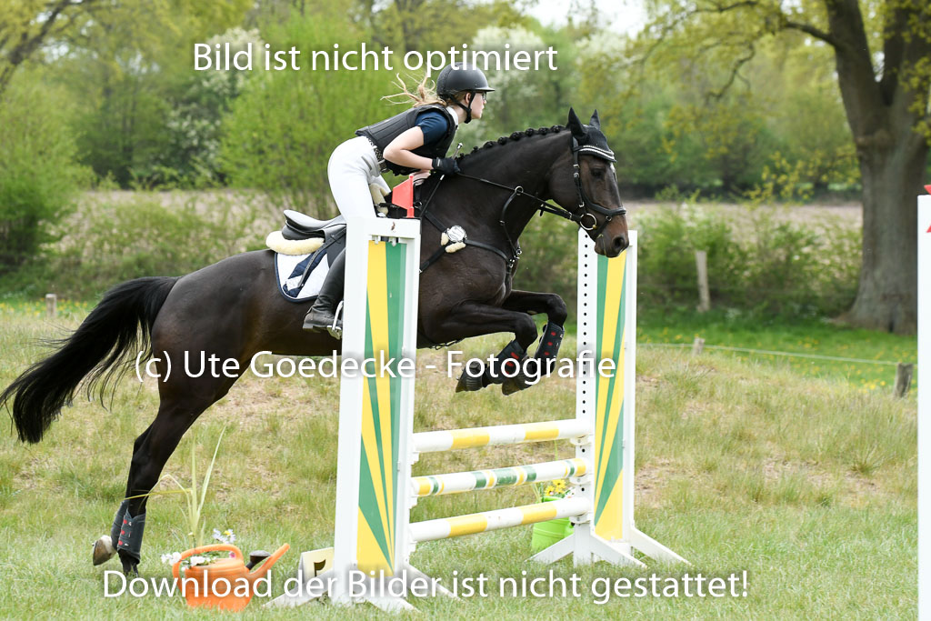 NG Eventing Elmenhorst  7.5.22 | 07052022 Elmenhorst VE _531 